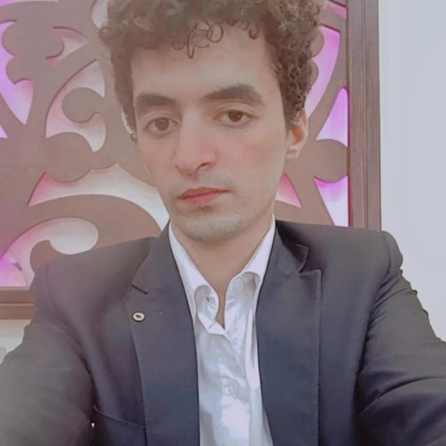 elsayedelmandoh img